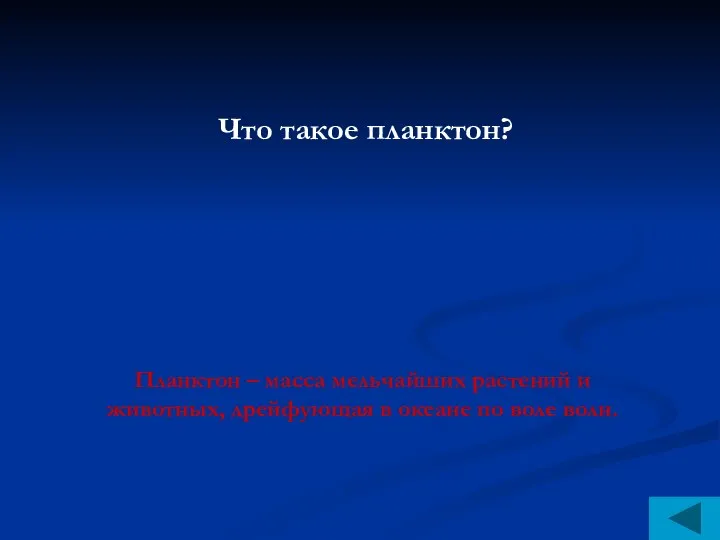 Что такое планктон? Планктон – масса мельчайших растений и животных, дрейфующая в океане по воле волн.