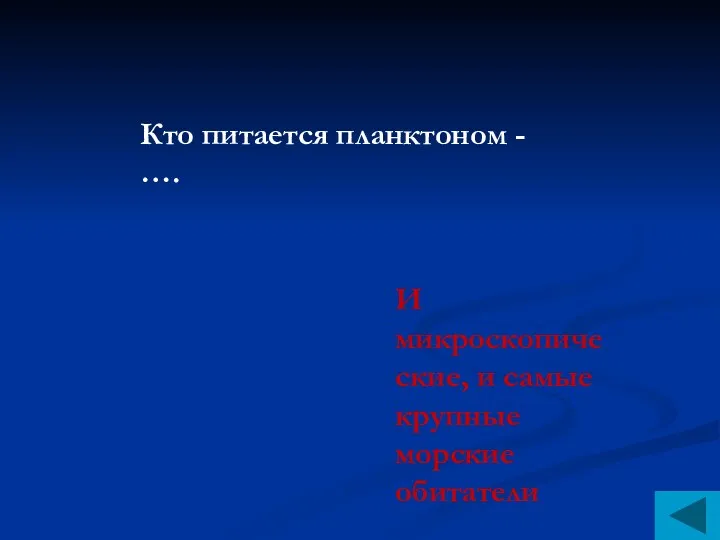 Кто питается планктоном - …. И микроскопические, и самые крупные морские обитатели