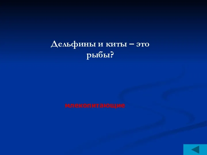 Дельфины и киты – это рыбы? млекопитающие