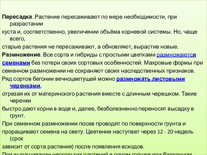 Пересадка. Растение пересаживают по мере необходимости, при разрастании куста и,