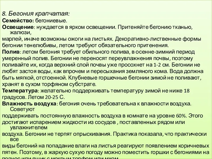 8. Бегония крапчатая: Семейство: бегониевые. Освещение: нуждается в ярком освещении. Притеняйте бегонию тканью,