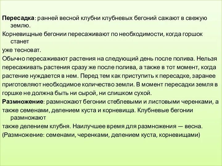 Пересадка: ранней весной клубни клубневых бегоний сажают в свежую землю. Корневищные бегонии пересаживают