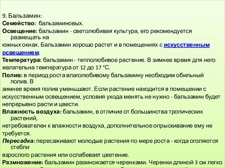 9. Бальзамин: Семейство: бальзаминовых. Освещение: бальзамин - светолюбивая культура, его