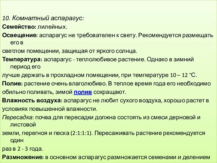 10. Комнатный аспарагус: Семейство: лилейных. Освещение: аспарагус не требователен к свету. Рекомендуется размещать