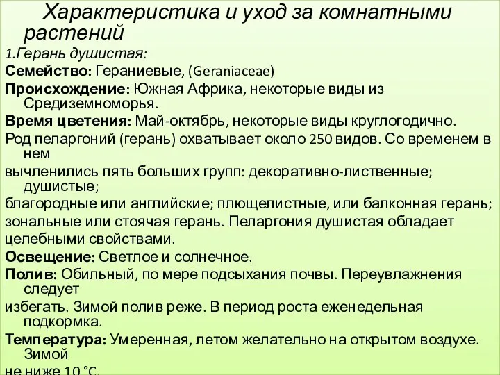 Характеристика и уход за комнатными растений 1.Герань душистая: Семейство: Гераниевые,