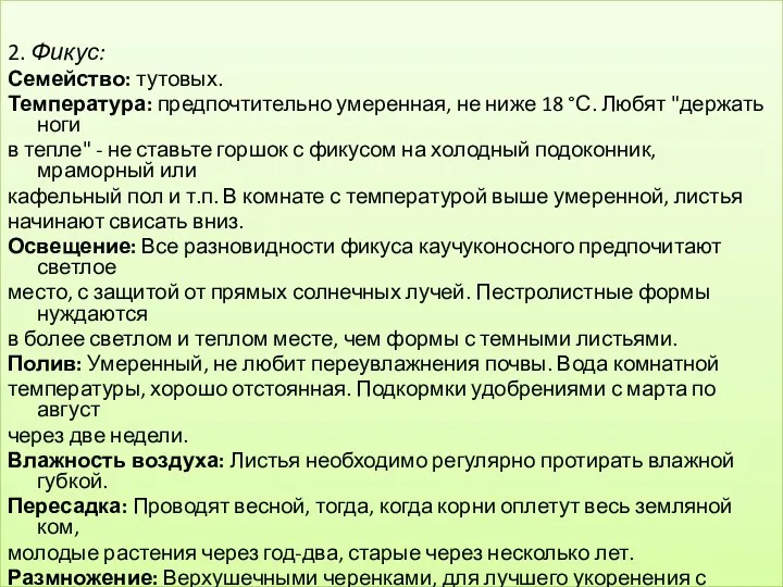 2. Фикус: Семейство: тутовых. Температура: предпочтительно умеренная, не ниже 18