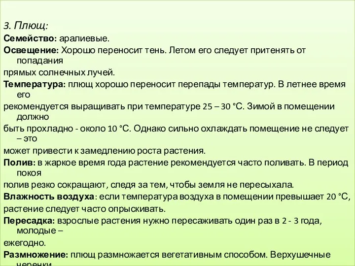 3. Плющ: Семейство: аралиевые. Освещение: Хорошо переносит тень. Летом его