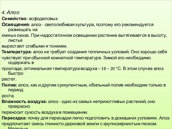 4. Алоэ: Семейство: асфоделовых. Освещение: алоэ - светолюбивая культура, поэтому