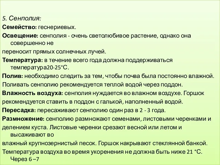 5. Сенполия: Семейство: геснериевых. Освещение: сенполия - очень светолюбивое растение,