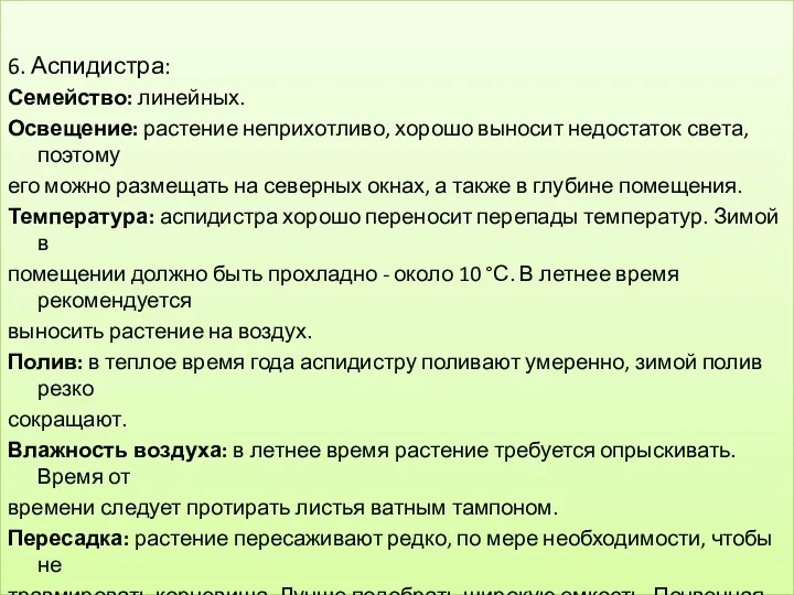 6. Аспидистра: Семейство: линейных. Освещение: растение неприхотливо, хорошо выносит недостаток