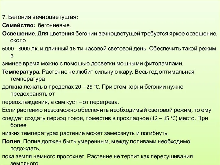 7. Бегония вечноцветущая: Семейство: бегониевые. Освещение. Для цветения бегонии вечноцветущей