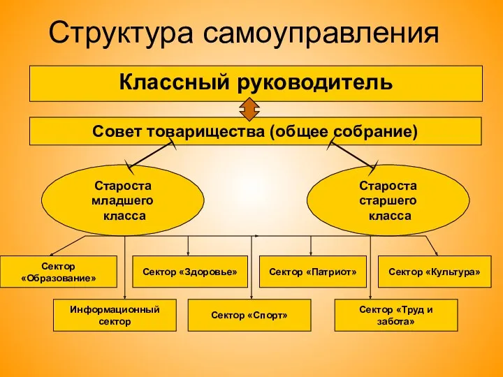 Структура самоуправления Классный руководитель Совет товарищества (общее собрание) Староста младшего