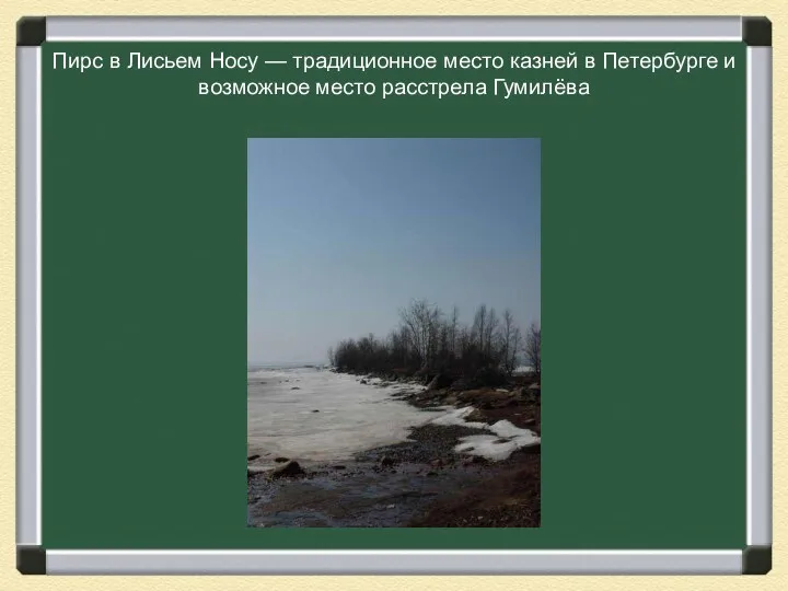 Пирс в Лисьем Носу — традиционное место казней в Петербурге и возможное место расстрела Гумилёва