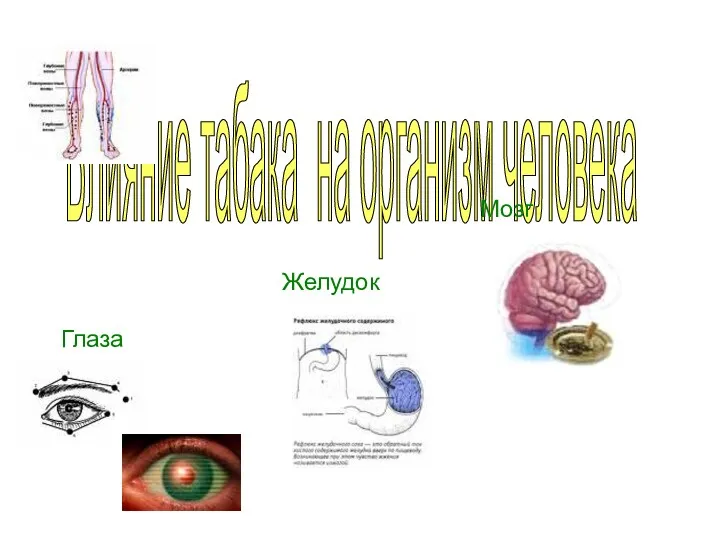 Влияние табака на организм человека Глаза Желудок Мозг