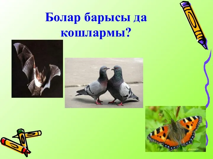 Болар барысы да кошлармы?