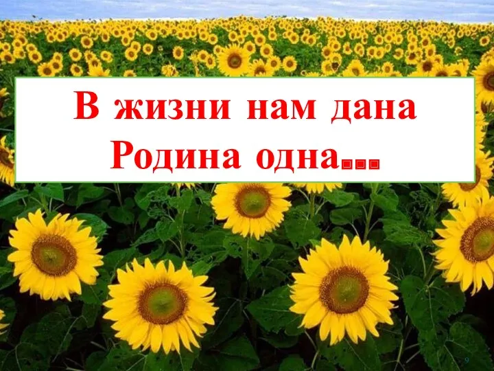 В жизни нам дана Родина одна…