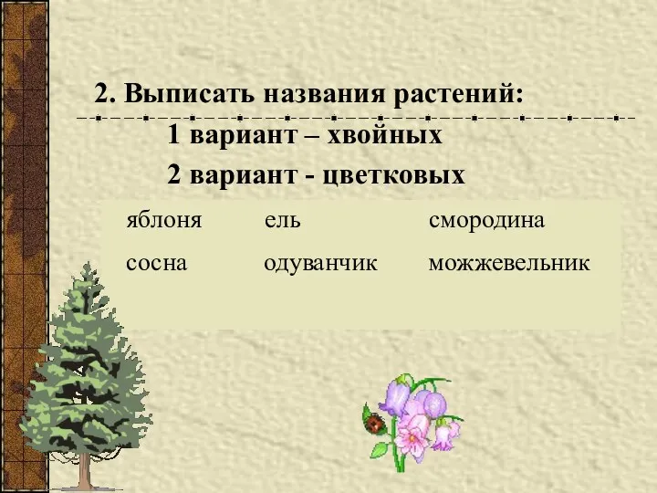 2. Выписать названия растений: 1 вариант – хвойных 2 вариант