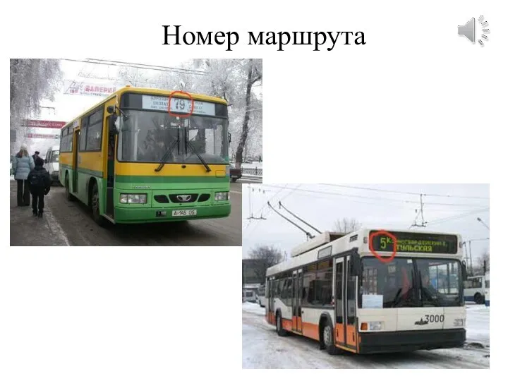 Номер маршрута