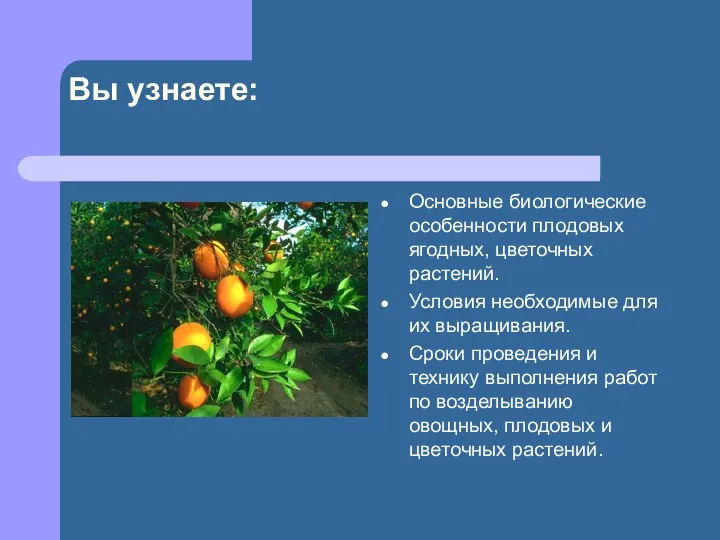 Вы узнаете: Основные биологические особенности плодовых ягодных, цветочных растений. Условия