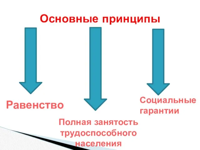 Основные принципы Равенство Социальные гарантии Полная занятость трудоспособного населения