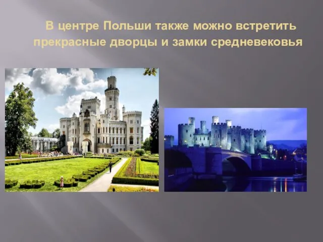 В центре Польши также можно встретить прекрасные дворцы и замки средневековья