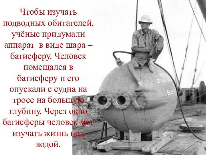 Чтобы изучать подводных обитателей, учёные придумали аппарат в виде шара