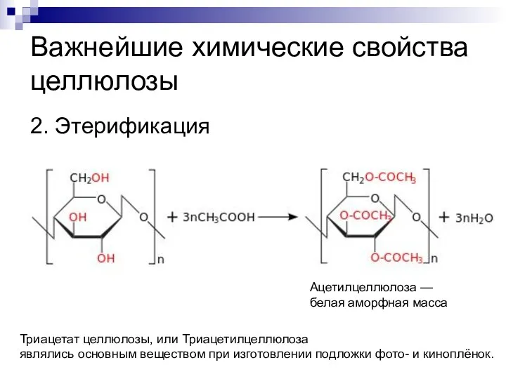 Важнейшие химические свойства целлюлозы 2. Этерификация Ацетилцеллюлоза — белая аморфная