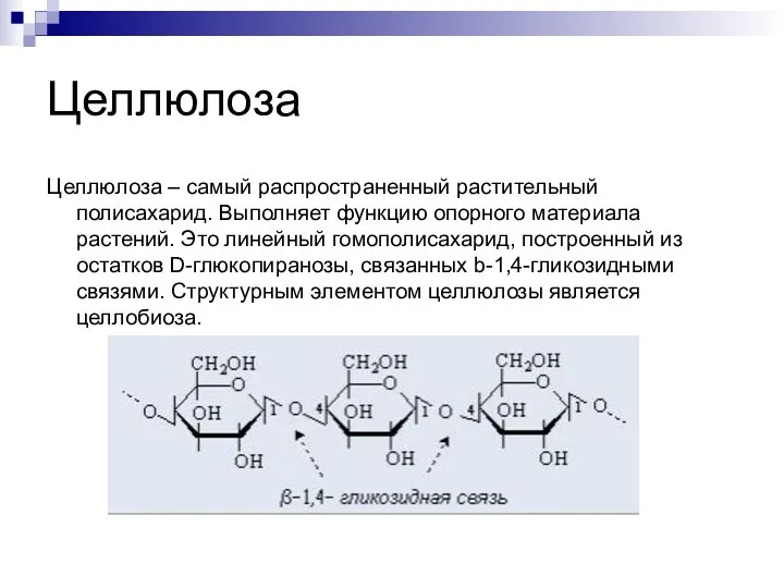 Целлюлоза Целлюлоза – самый распространенный растительный полисахарид. Выполняет функцию опорного