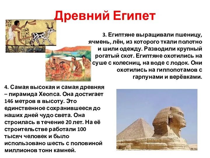 Древний Египет 3. Египтяне выращивали пшеницу, ячмень, лён, из которого ткали полотно и