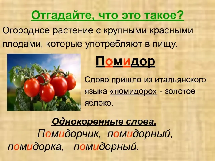 Отгадайте, что это такое? Огородное растение с крупными красными плодами,