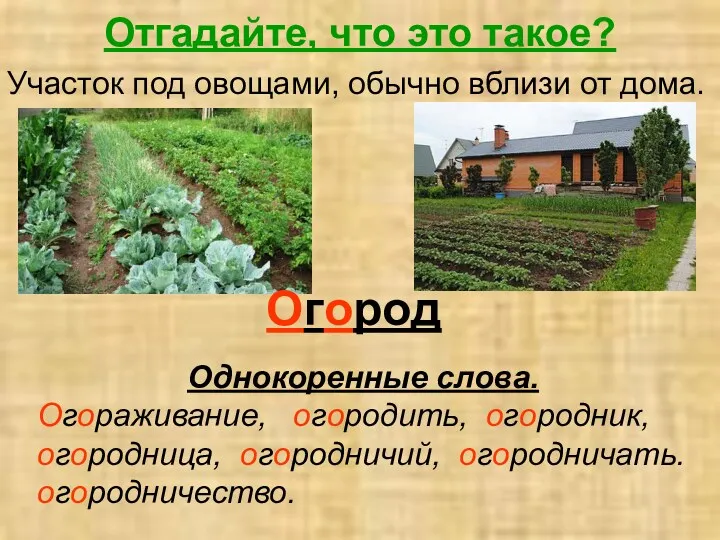 Отгадайте, что это такое? Участок под овощами, обычно вблизи от