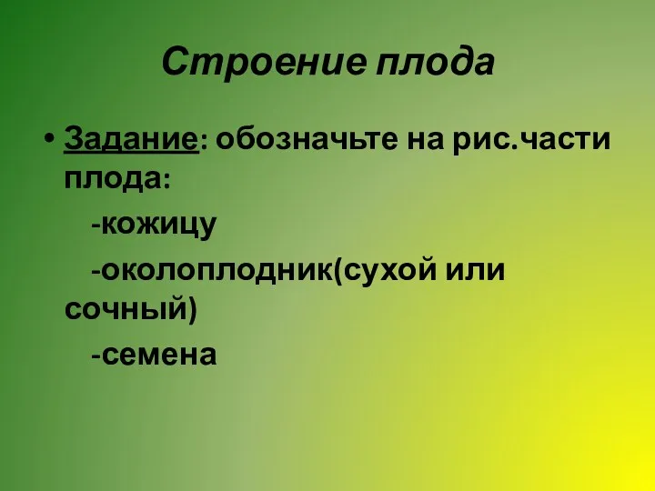 Строение плода Задание: обозначьте на рис.части плода: -кожицу -околоплодник(сухой или сочный) -семена