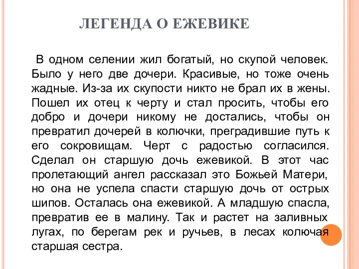 ЛЕГЕНДА О ЕЖЕВИКЕ В одном селении жил богатый, но скупой