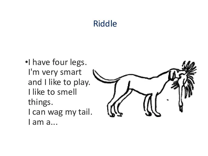 Riddle I have four legs. I'm very smart and I