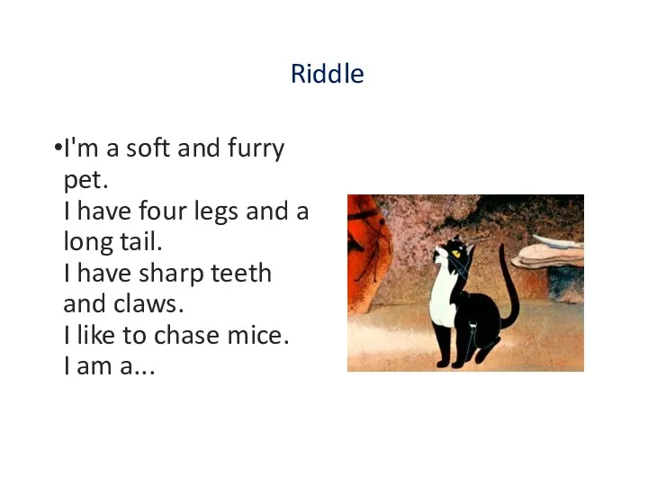 Riddle I'm a soft and furry pet. I have four