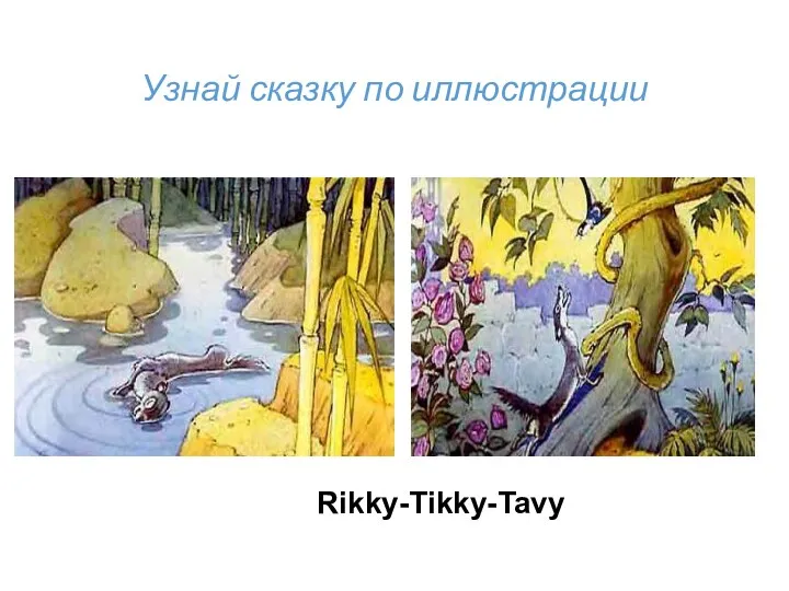 Узнай сказку по иллюстрации Rikky-Tikky-Tavy