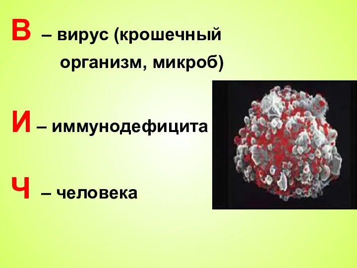 В – вирус (крошечный организм, микроб) И – иммунодефицита Ч – человека