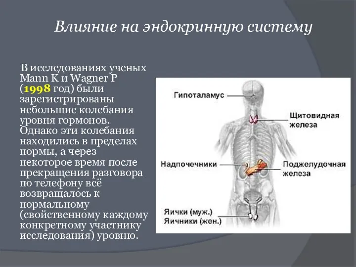 Влияние на эндокринную систему В исследованиях ученых Mann K и