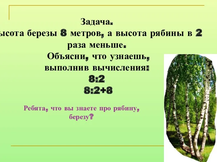 Задача. Высота березы 8 метров, а высота рябины в 2