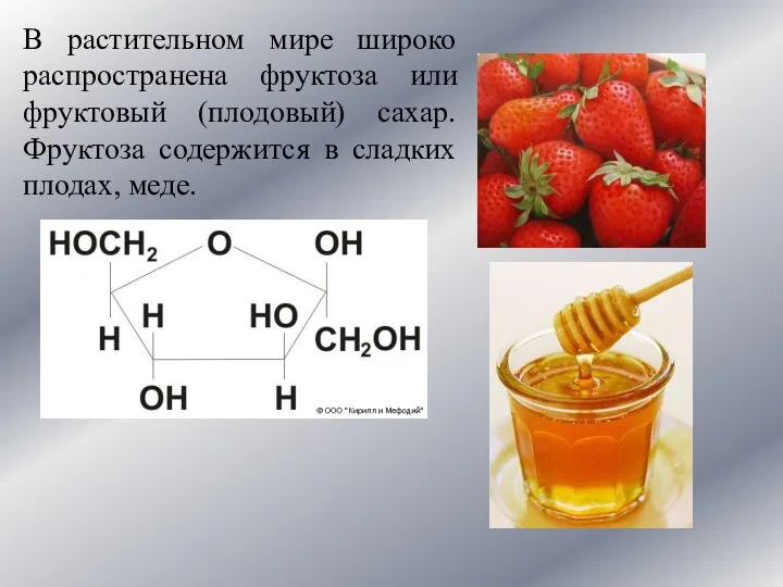 В растительном мире широко распространена фруктоза или фруктовый (плодовый) сахар. Фруктоза содержится в сладких плодах, меде.