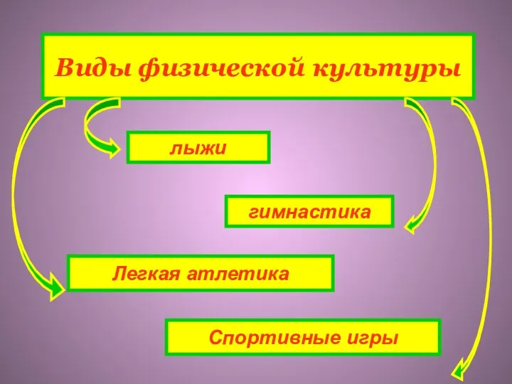 лыжи Спортивные игры Легкая атлетика гимнастика Виды физической культуры