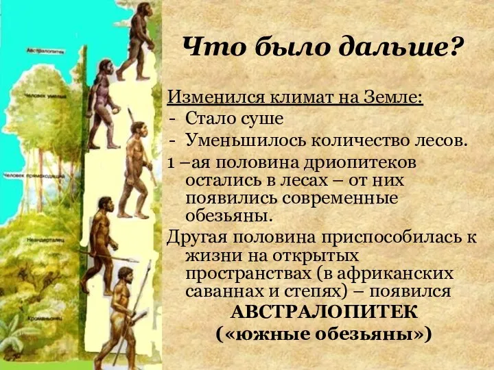 Что было дальше? Изменился климат на Земле: Стало суше Уменьшилось количество лесов. 1