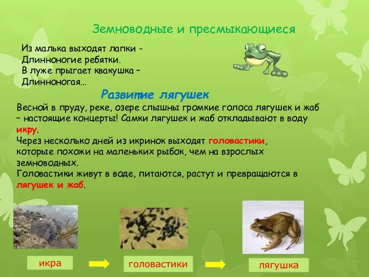 Земноводные и пресмыкающиеся Развитие лягушек Весной в пруду, реке, озере