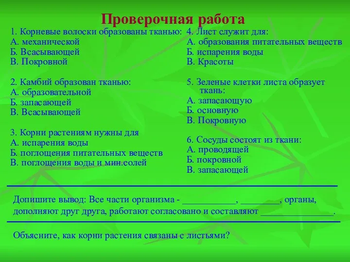 Проверочная работа 1. Корневые волоски образованы тканью: А. механической Б.