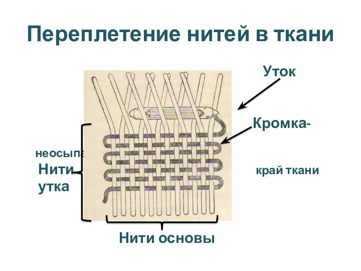 Переплетение нитей в ткани Уток Кромка- неосыпающийся Нити край ткани утка Нити основы