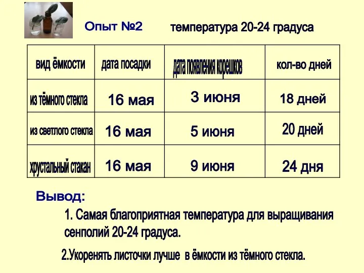 вид ёмкости дата посадки дата появления корешков кол-во дней из