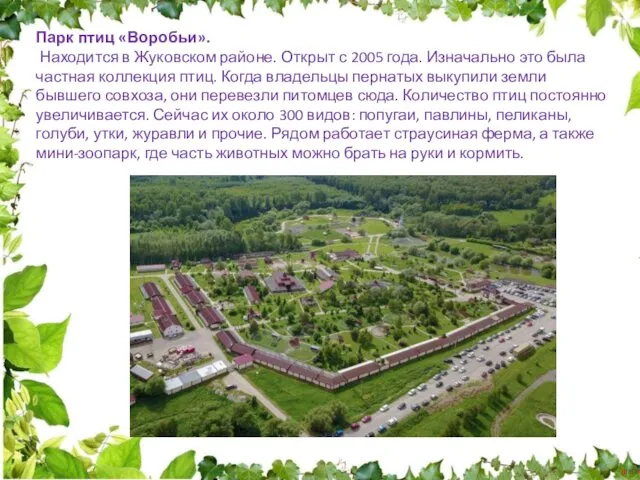 Парк птиц «Воробьи». Находится в Жуковском районе. Открыт с 2005