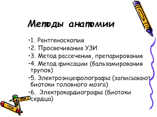 Методы анатомии 1. Рентгеноскопия 2. Просвечивания УЗИ 3. Метод рассечения,