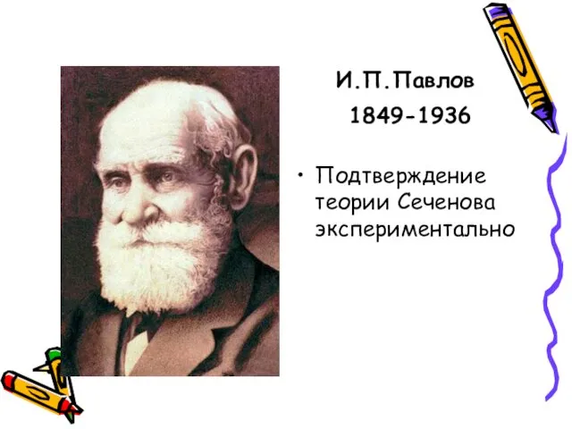 И.П.Павлов 1849-1936 Подтверждение теории Сеченова экспериментально