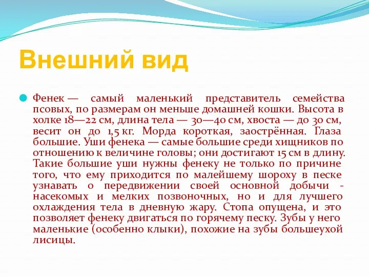 Внешний вид Фенек — самый маленький представитель семейства псовых, по размерам он меньше